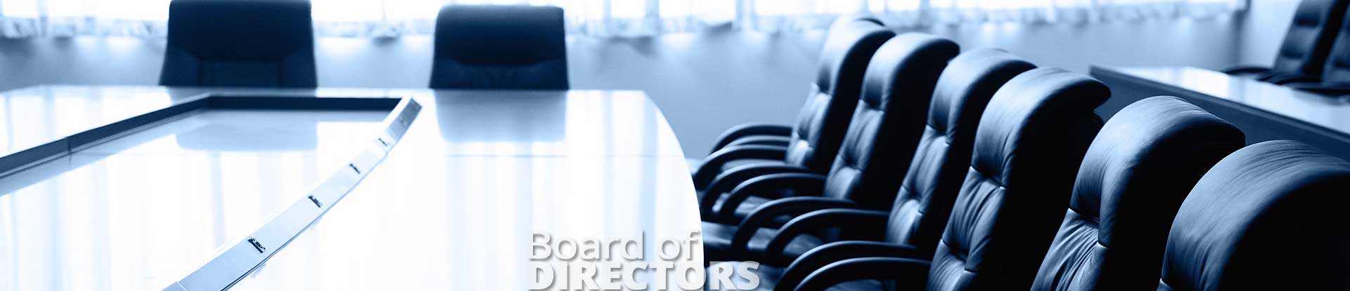 Board of Directors | Captain Polyplast Ltd.