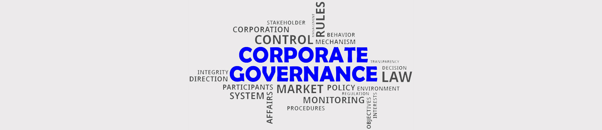Corporate Governance | Captain Polyplast Ltd.